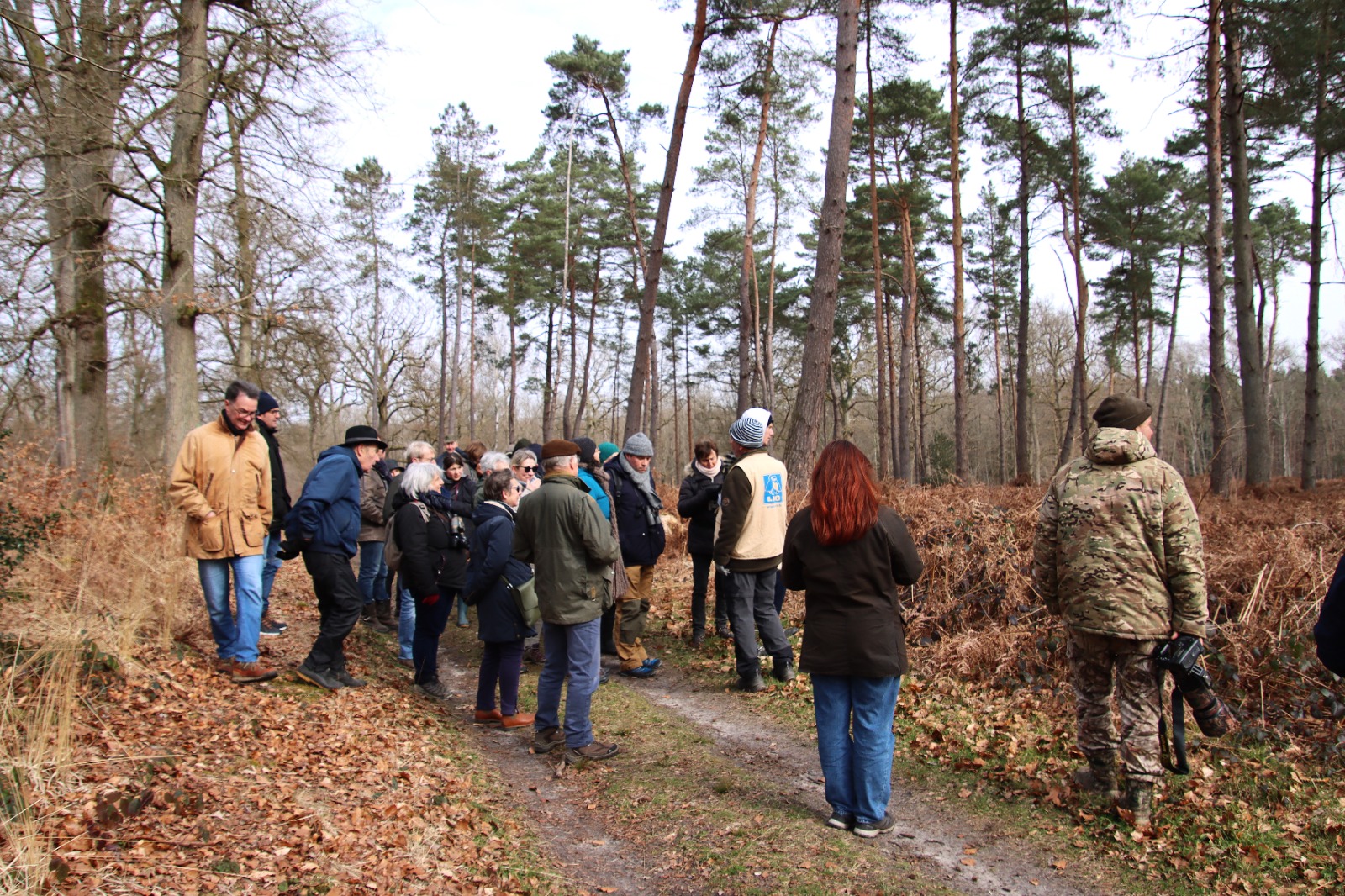 A la découverte de la forêt de Compiègne (60)